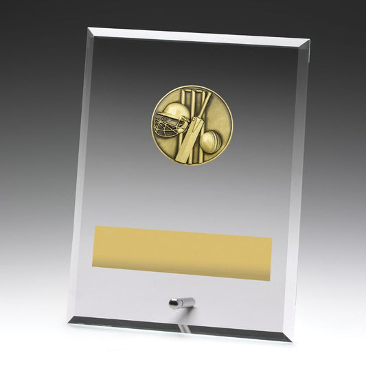 DY140C Glass Plaque Cricket 200mm
