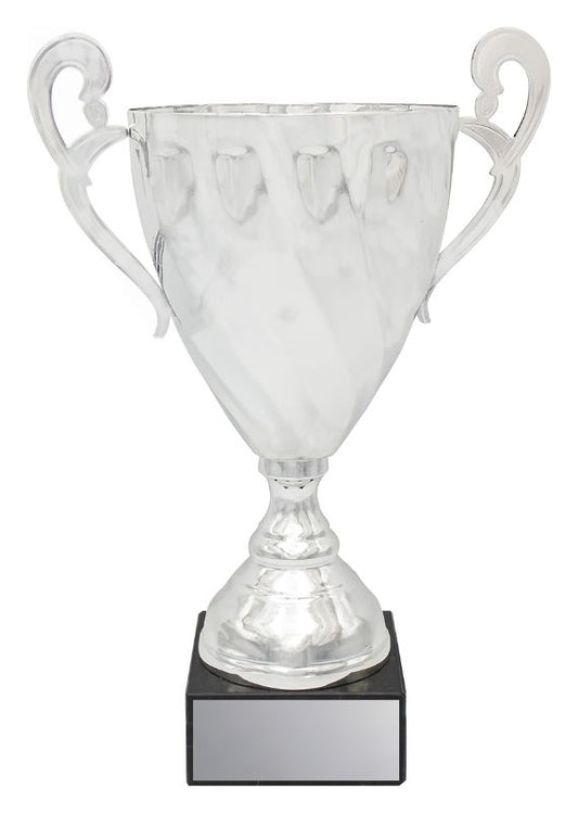 EC07C Fidelity Cup Silver 37cm