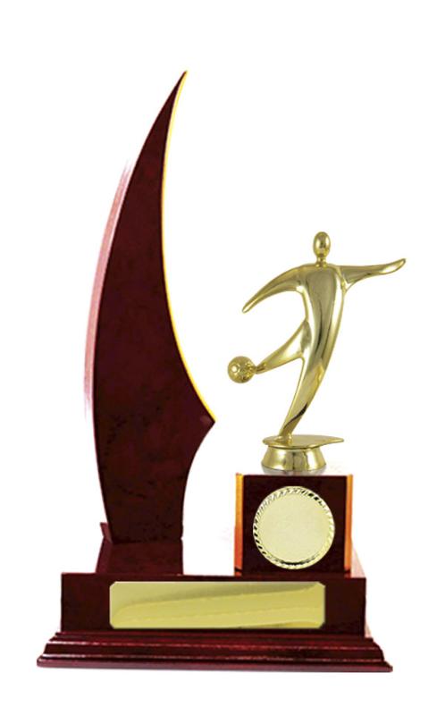 F24-3115CH Timber Buildup Football 29.5cm