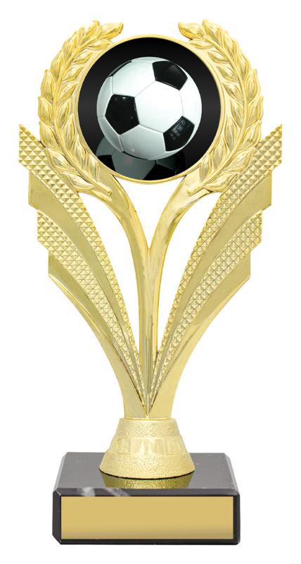 F4138 Football Target 18.5cm