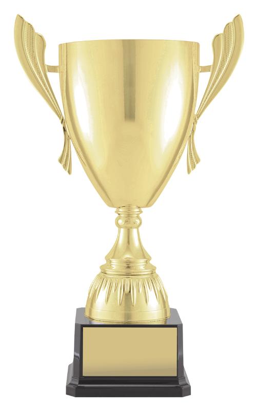 F4214 Football Gold Ironside 45cm