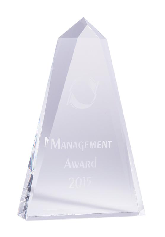 IC01C Infiniti Crystal - Prism 20cm