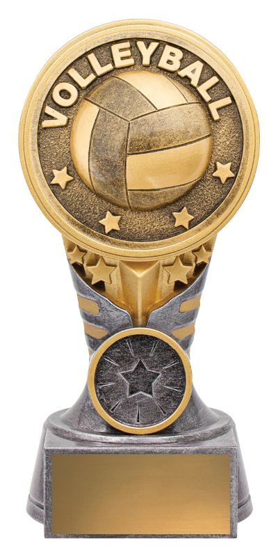 KN227A IKON Trophy Volleyball 15cm