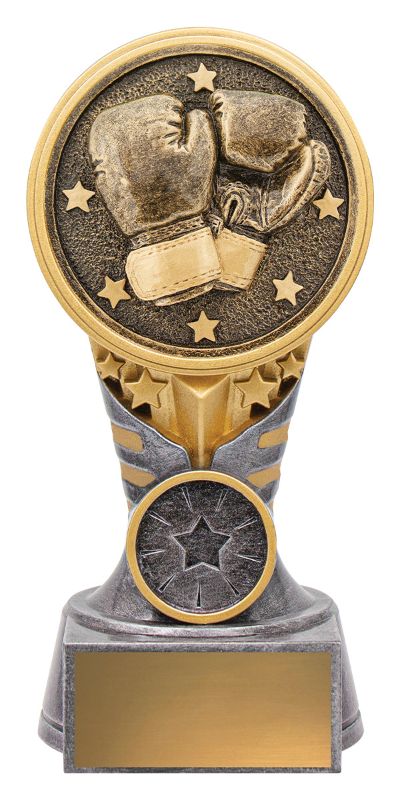 KN232A IKON Trophy Boxing 15cm