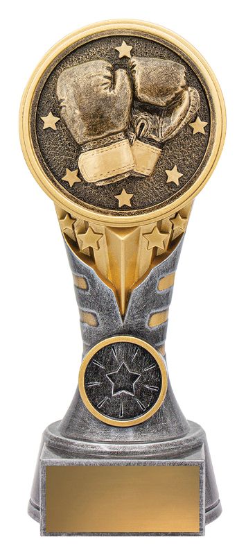 KN232B IKON Trophy Boxing 17.5cm