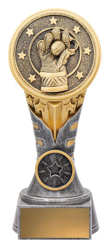 KN290B IKON Cricket Wicketkeeping Trophy 175mm