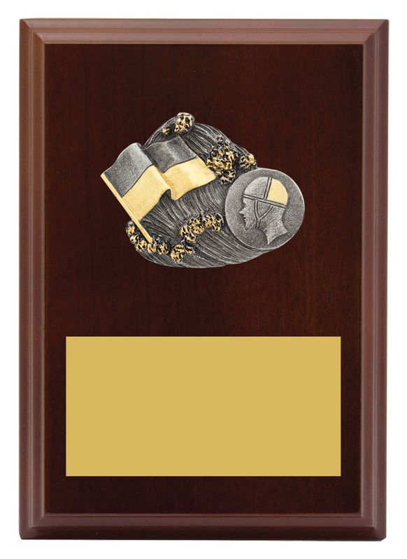 LPF458A Plaque Peak Lifesaving 150mm
