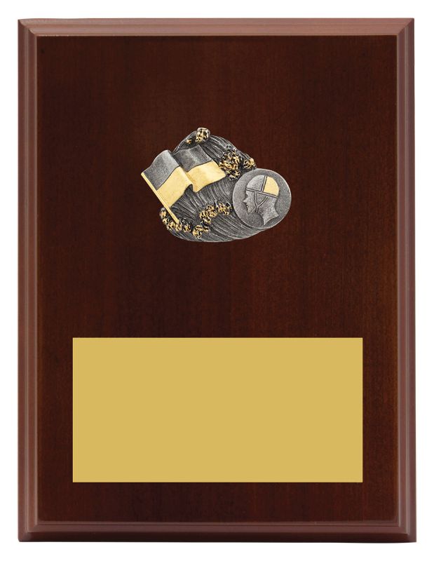 LPF458C Plaque Peak Lifesaving 200mm