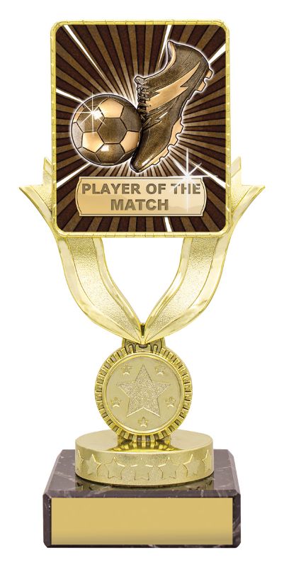 LPK082A Lynx Bold Player of the Match 17.5cm
