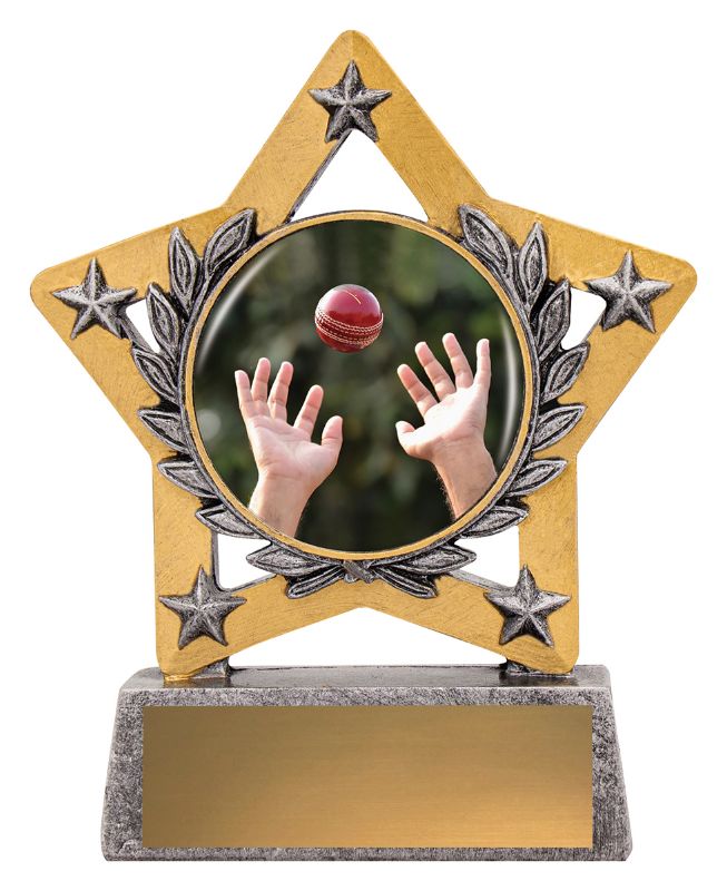MSC404 Fielding Mini Star Colour 130mm