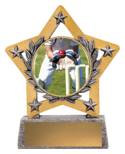 MSC405 Wicketkeep Mini Star Colour 130mm