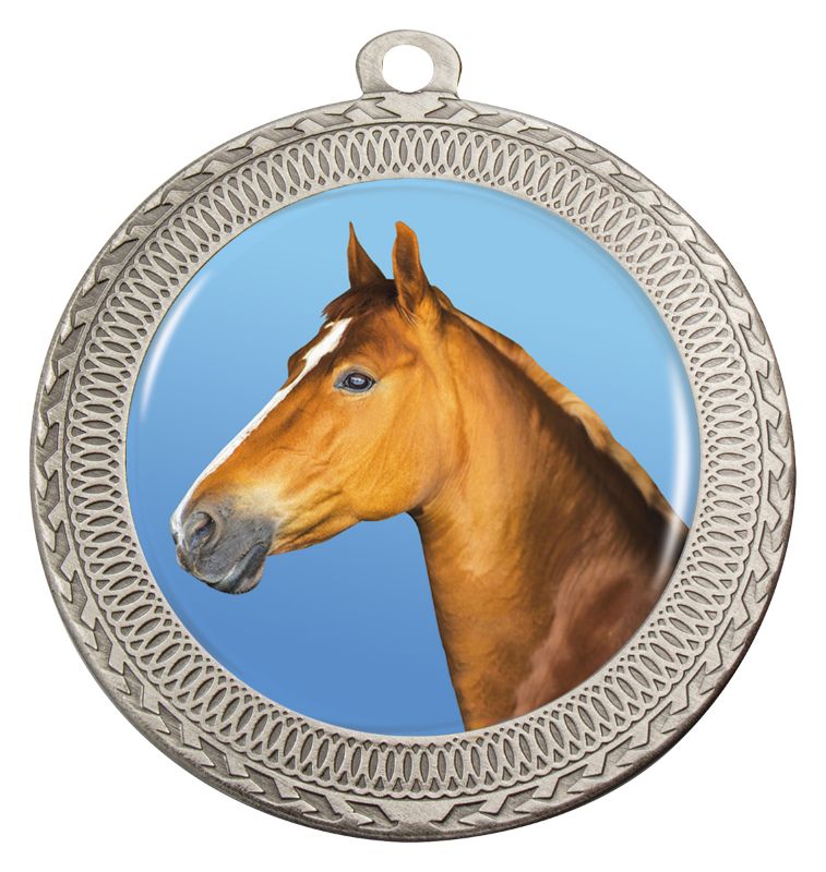 MVN352S Ovation Horse Medal Silver Medal 7cm