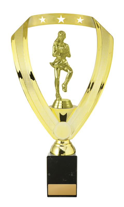 N24-2003 Netball Fig. on Column 29.5cm