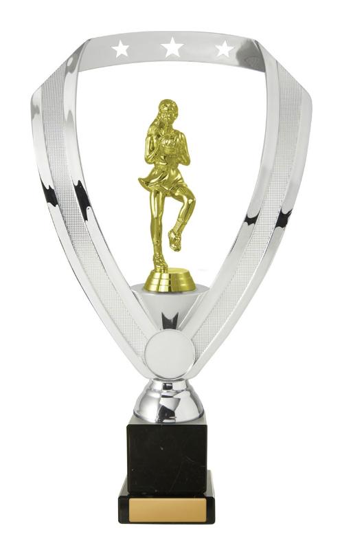N24-2006 Netball Fig. on Column 27cm