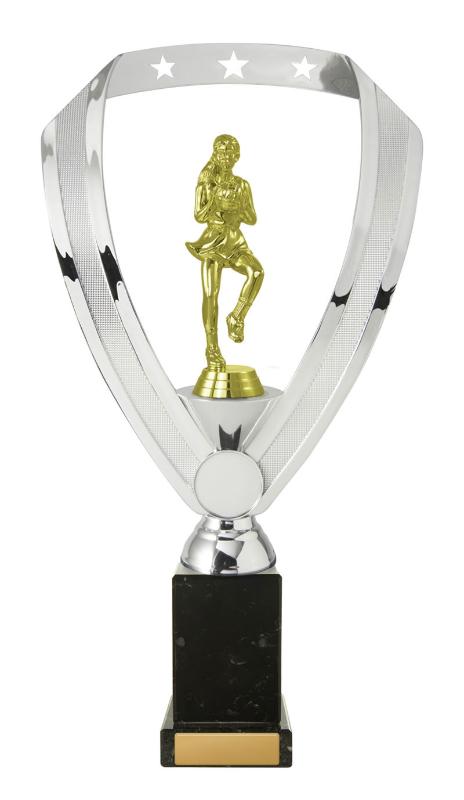 N24-2007 Netball Fig. on Column 29.5cm