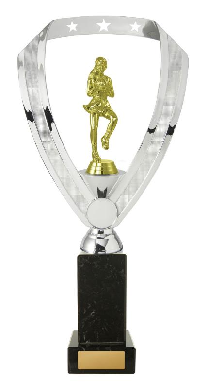 N24-2008 Netball Fig. on Column 32cm