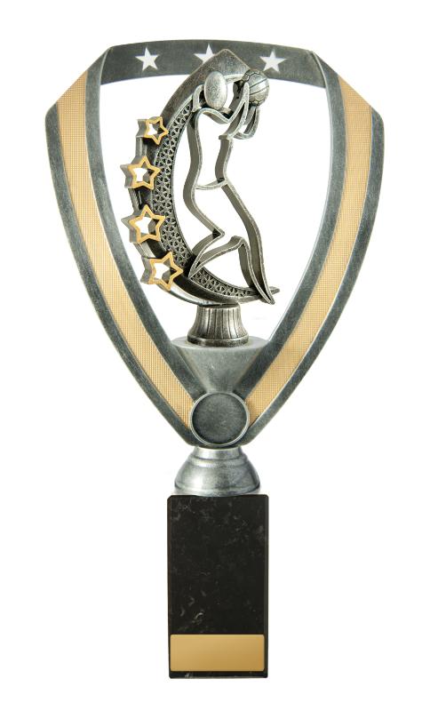 N24-2016 Netball Fig. on Column 32cm