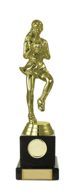 N24-2020 Netball Fig. on Column 21cm
