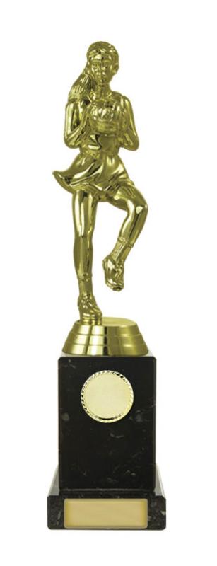 N24-2021 Netball Fig. on Column 23.5cm