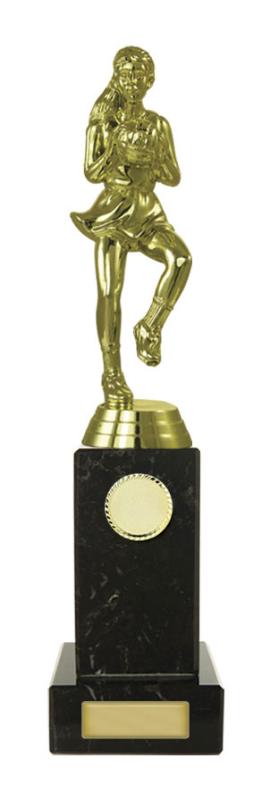 N24-2022 Netball Fig. on Column 27cm