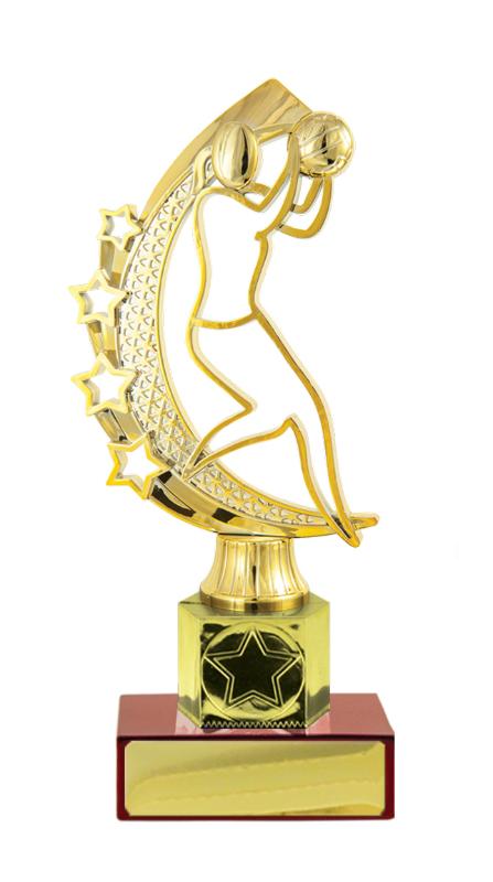 N24-2111 Netball Fig. on Column 19.5cm