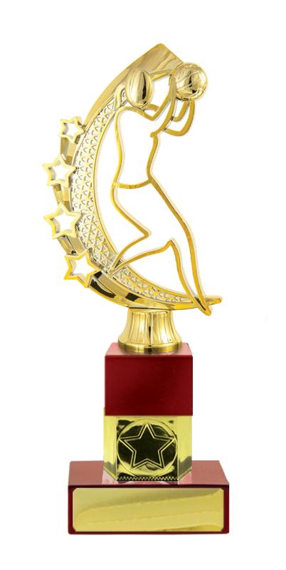 N24-2112 Netball Fig. on Column 22cm