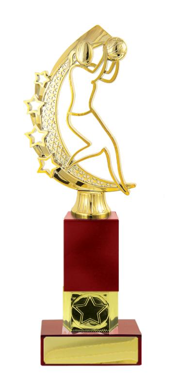 N24-2113 Netball Fig. on Column 24.5cm