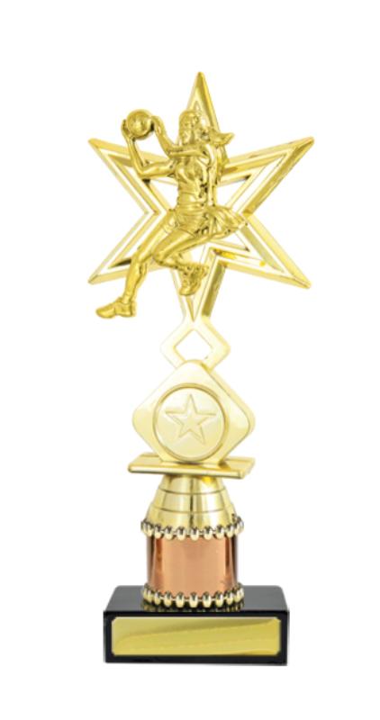 N24-2116 Netball Fig. on Column 21.3cm
