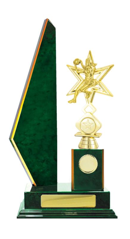 N24-2208GN Timber Buildup Netball 36.5cm