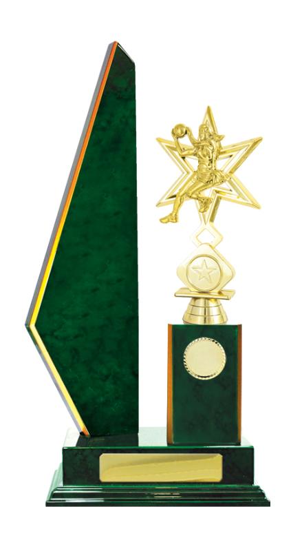 N24-2209GN Timber Buildup Netball 39.5cm