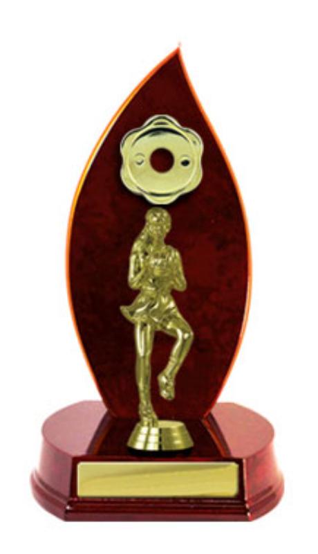 N24-2301CH Timber Buildup Netball 23cm