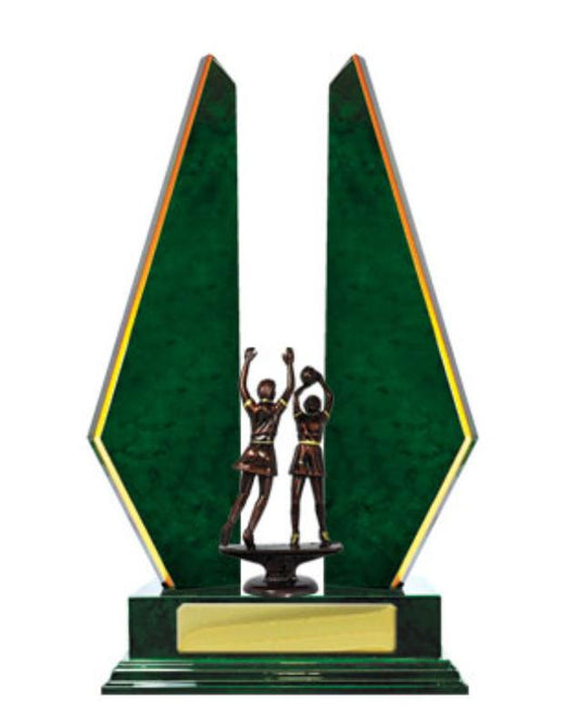 N24-2304GN Timber Buildup Netball 30.5cm