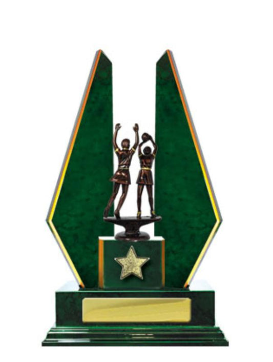 N24-2305GN Timber Buildup Netball 33.5cm