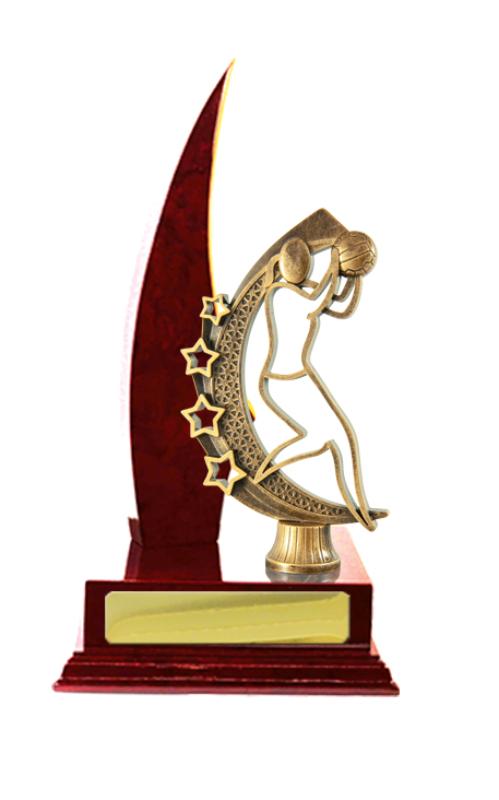 N24-2314CH Timber Buildup Netball 27cm