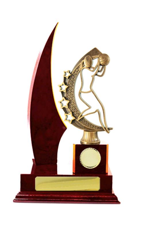 N24-2315CH Timber Buildup Netball 29.5cm