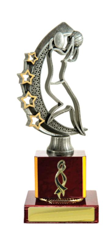 N24-2408CH Timber Buildup Netball 19.5cm