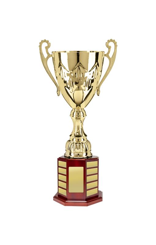 N24-2601 Cup on Perpetual Base 61cm