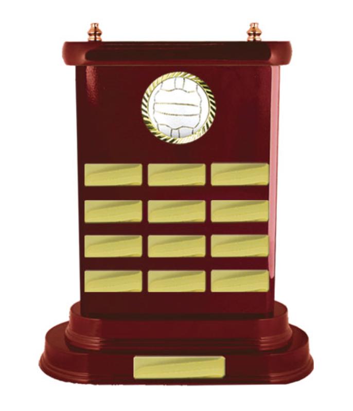 N24-2604WG Timber Buildup Netball 34.8cm