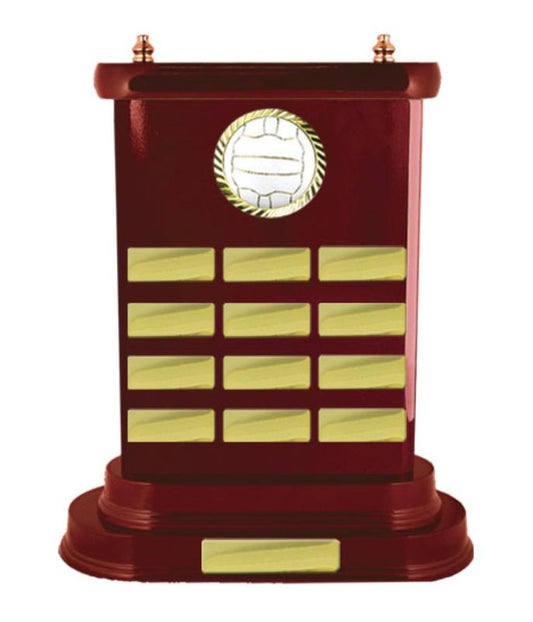 N24-2604WG Timber Buildup Netball 34.8cm