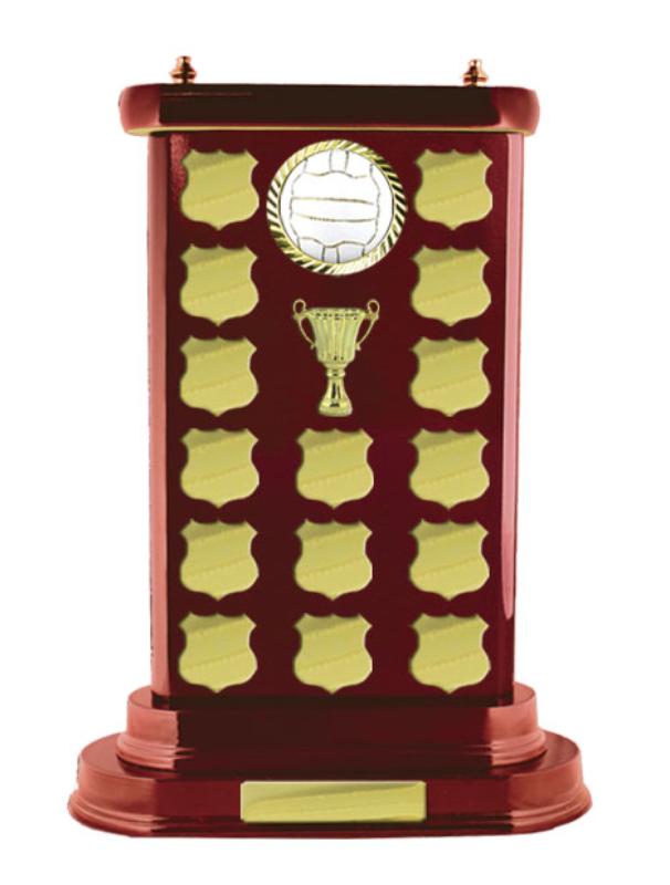 N24-2605WG Timber Buildup Netball 40.5cm