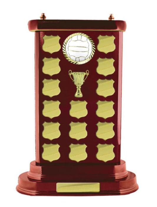 N24-2605WG Timber Buildup Netball 40.5cm