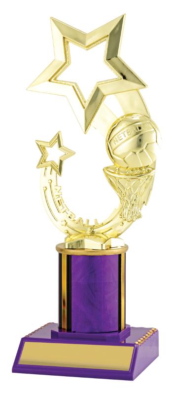 N4034 Netball Purple Dazzle 23cm