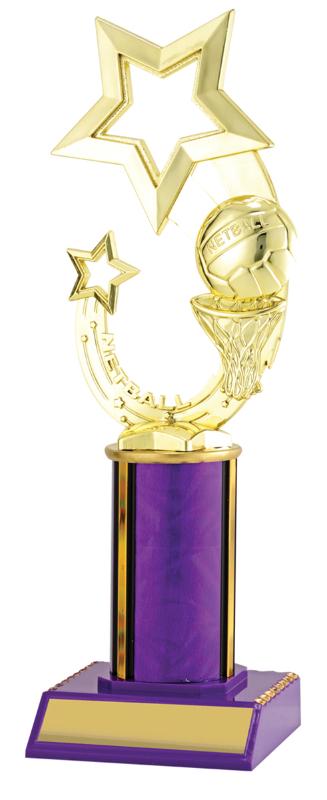 N4035 Netball Purple Dazzle 25.5cm