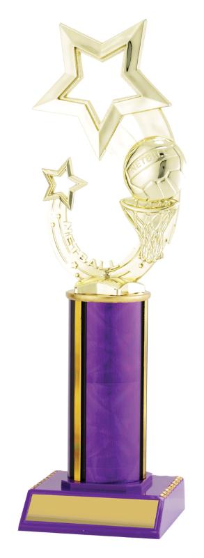 N4036 Netball Purple Dazzle 28cm