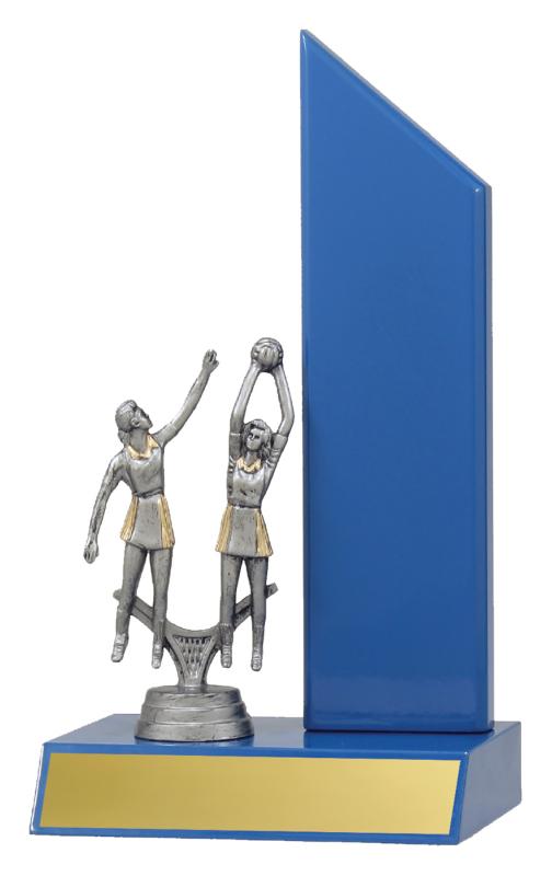 N4140 Netball Gloss Blue Wing 23.5cm