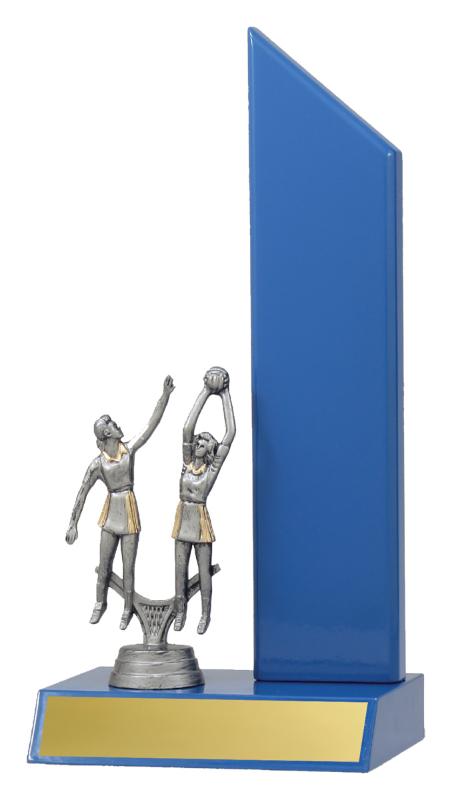 N4141 Netball Gloss Blue Wing 27cm