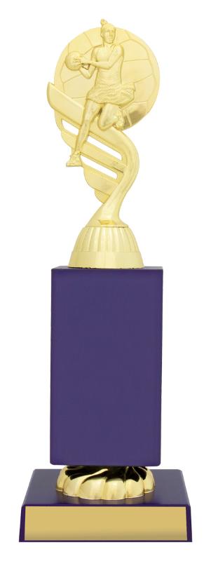 N4158 Netball Blue Column Series 26.5cm