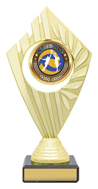 N4160 Netball Flyer Series - Gold / Blue 20.5cm