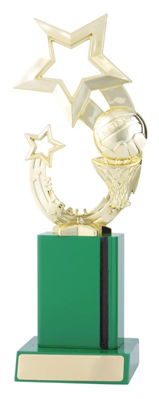 N4199 Netball Green Timber 25cm