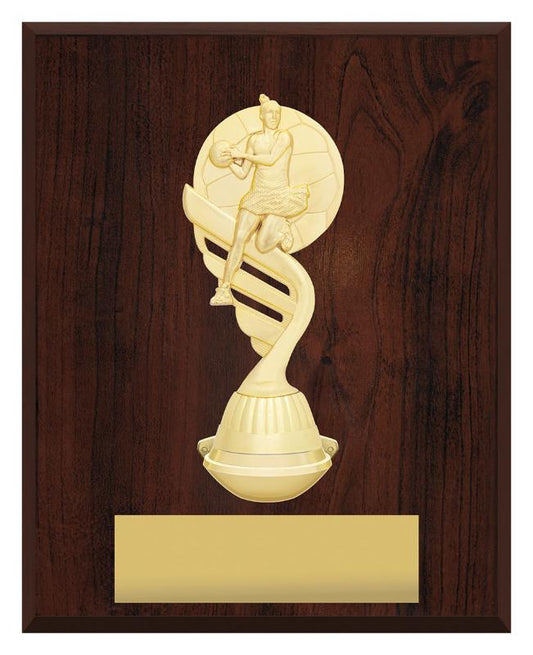 N4211 Netball Podium Plaque - Portrait 25cm